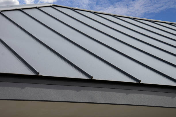 Best Roof Leak Repair  in Santa Rosa, NM